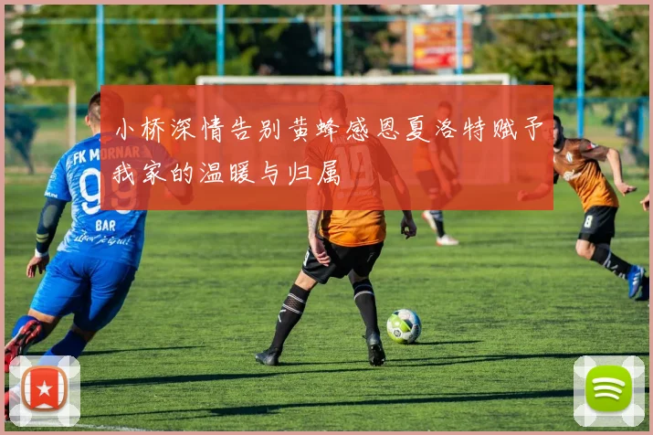 小桥深情告别黄蜂感恩夏洛特赋予我家的温暖与归属
